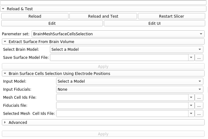 "BrainMeshSurfaceCellsSelection" module within 3D Slicer.